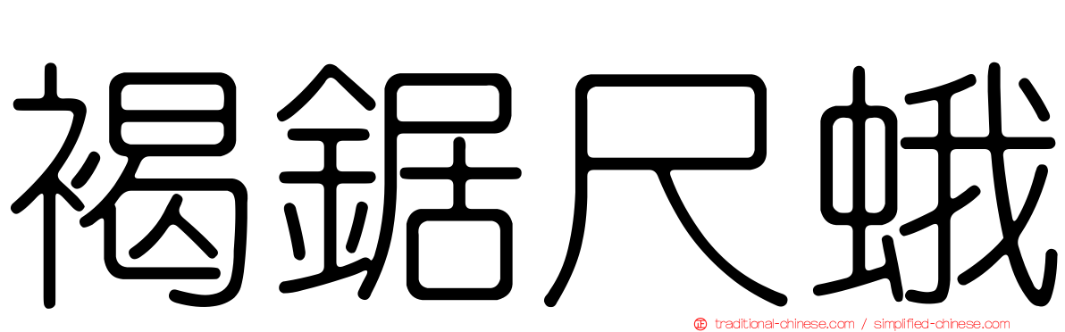 褐鋸尺蛾
