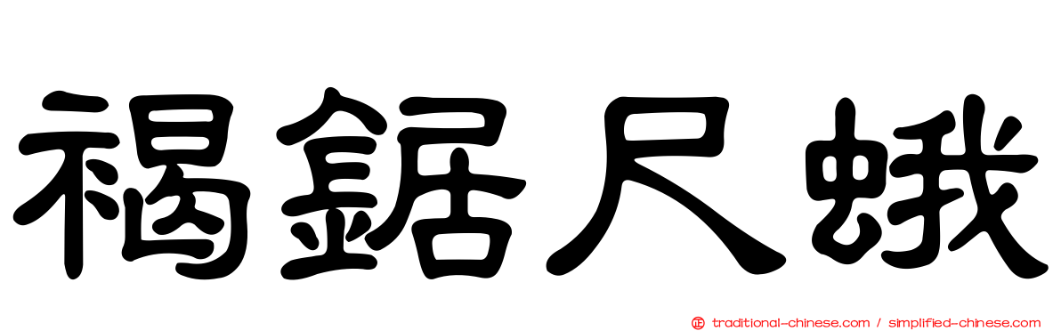 褐鋸尺蛾