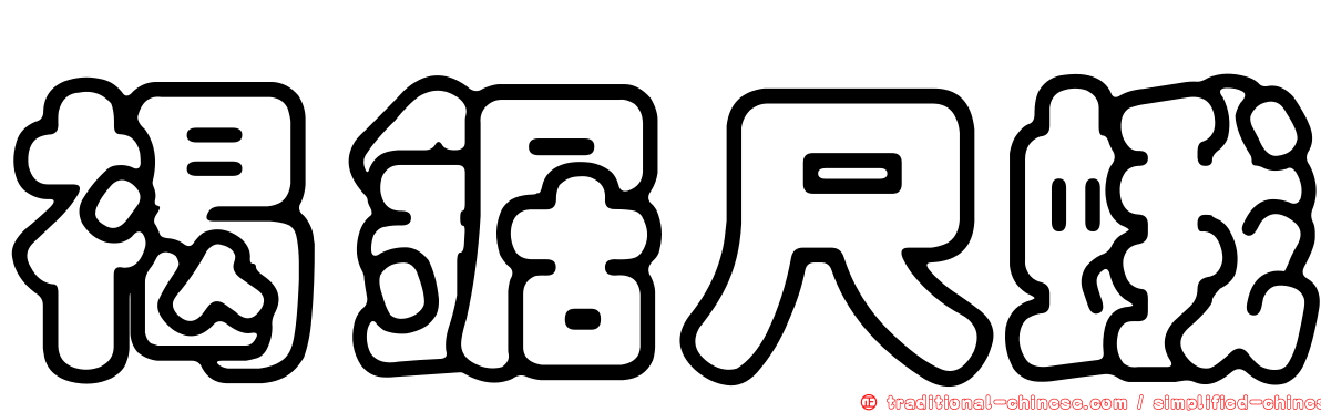 褐鋸尺蛾