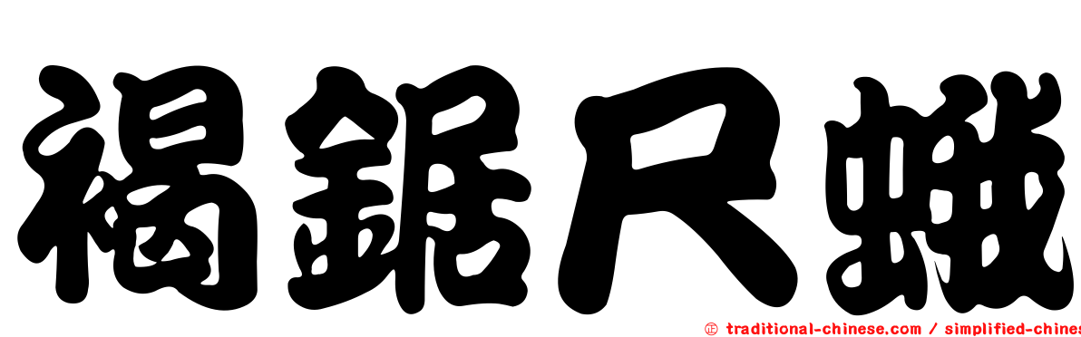 褐鋸尺蛾