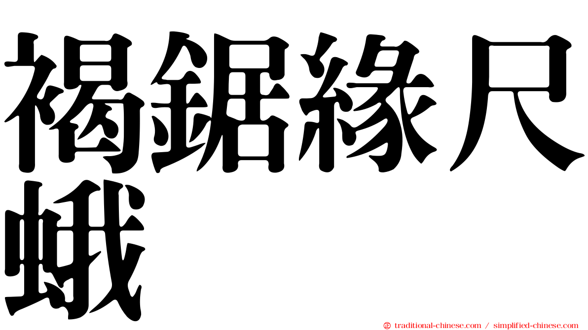 褐鋸緣尺蛾