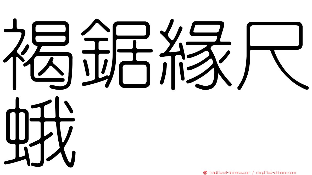 褐鋸緣尺蛾