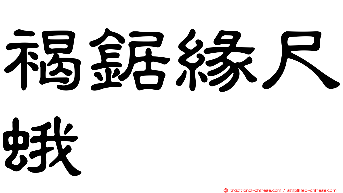 褐鋸緣尺蛾