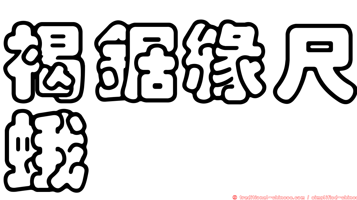 褐鋸緣尺蛾