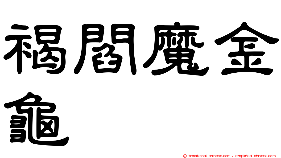 褐閻魔金龜