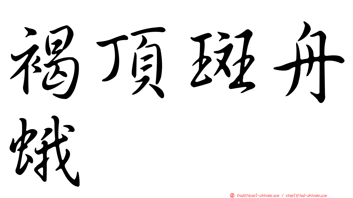 褐頂斑舟蛾