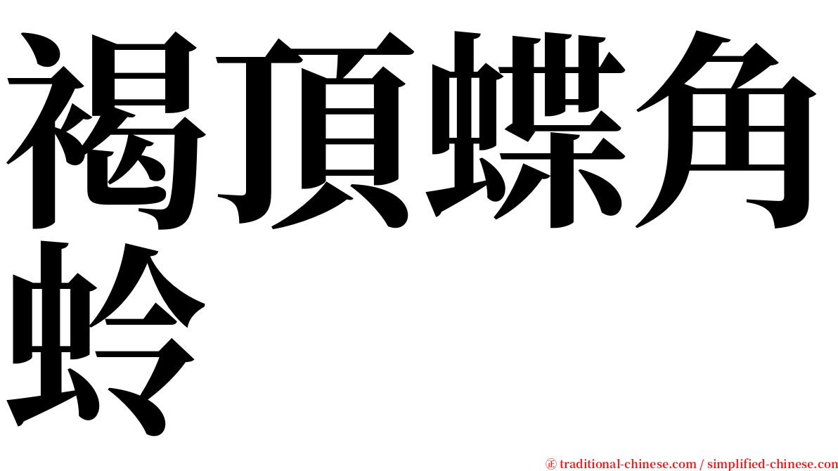 褐頂蝶角蛉 serif font