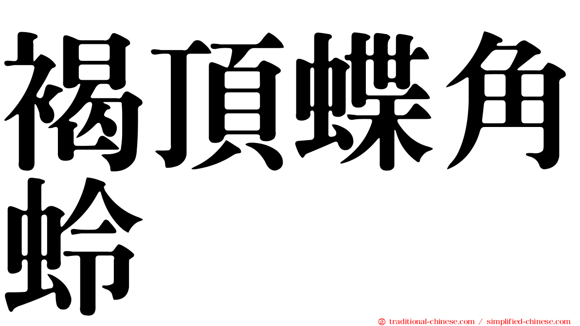 褐頂蝶角蛉