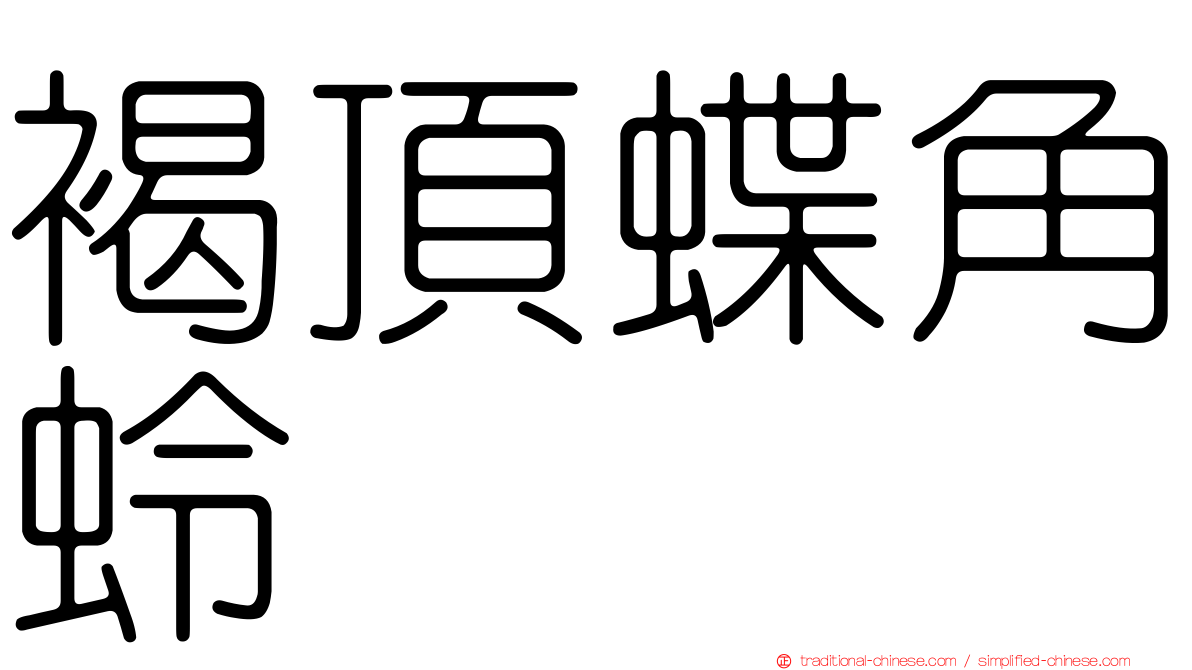 褐頂蝶角蛉