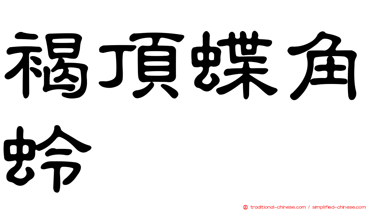 褐頂蝶角蛉