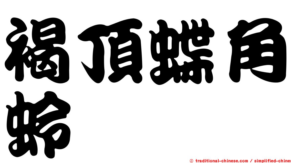 褐頂蝶角蛉