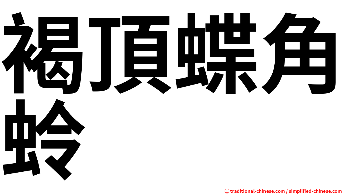 褐頂蝶角蛉