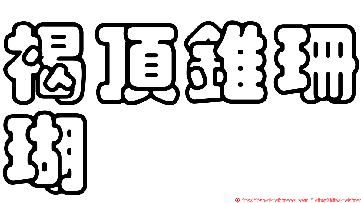 褐頂錐珊瑚