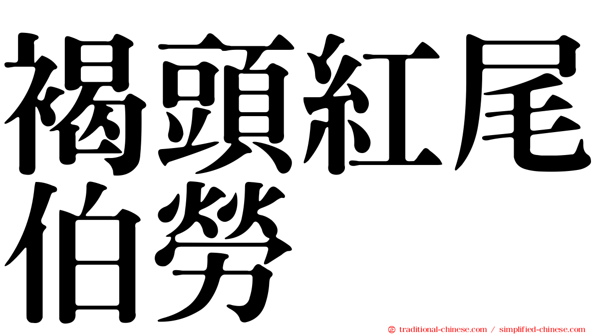 褐頭紅尾伯勞