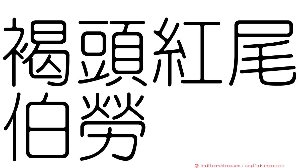 褐頭紅尾伯勞