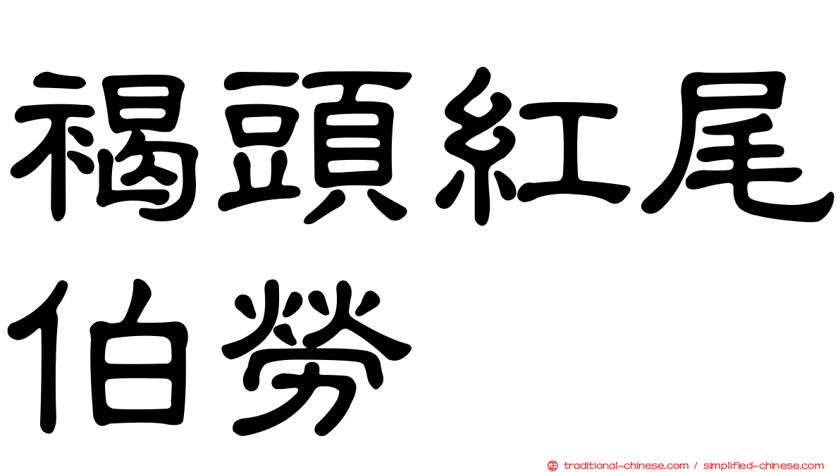 褐頭紅尾伯勞