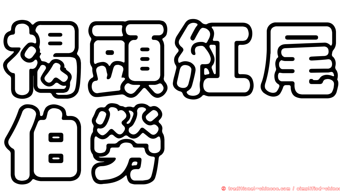 褐頭紅尾伯勞