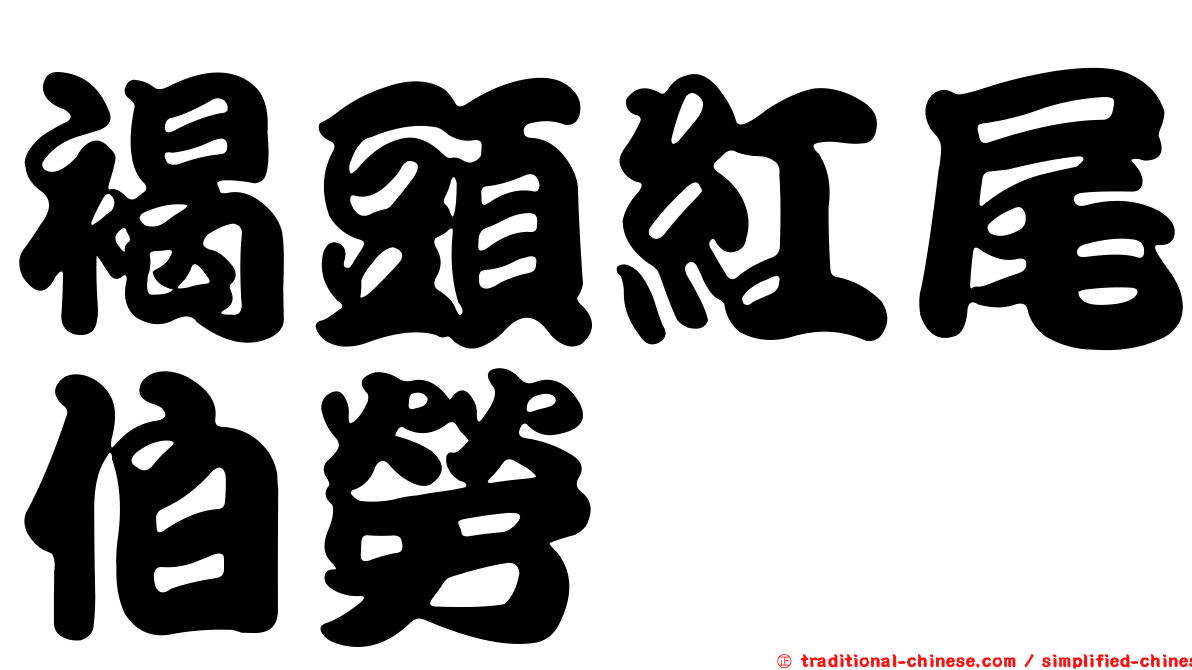 褐頭紅尾伯勞