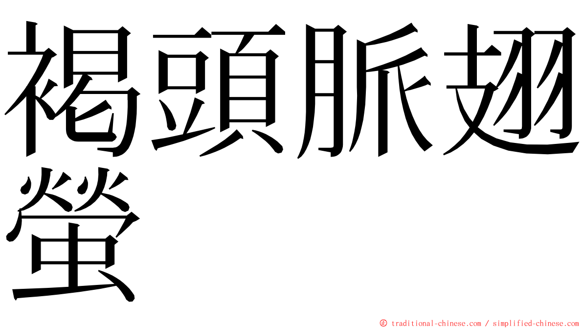 褐頭脈翅螢 ming font