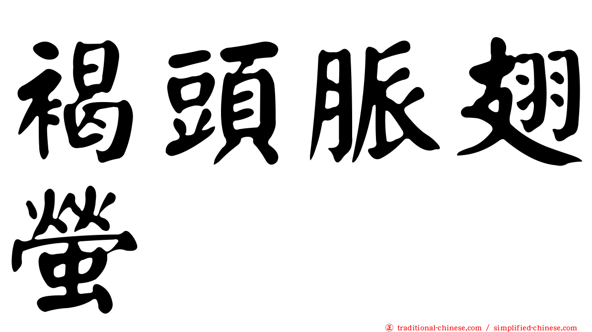 褐頭脈翅螢