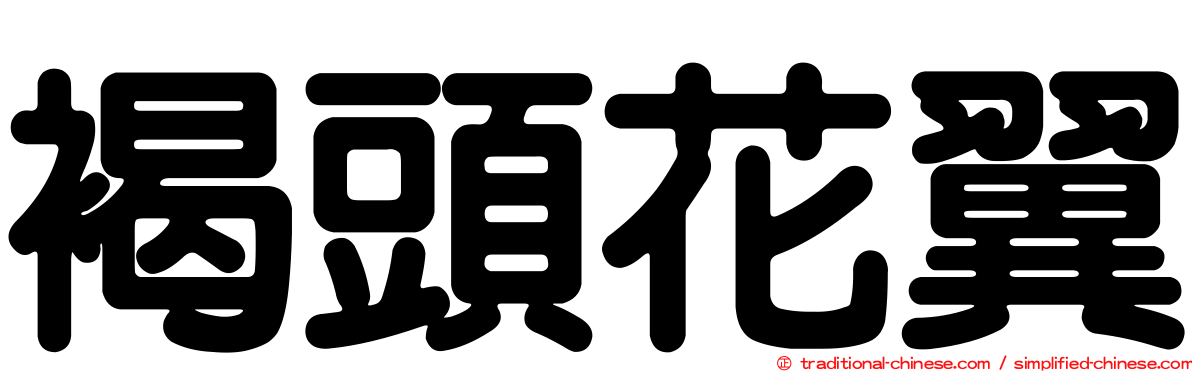 褐頭花翼