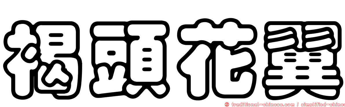 褐頭花翼