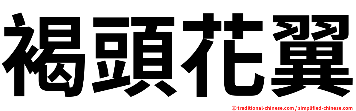 褐頭花翼