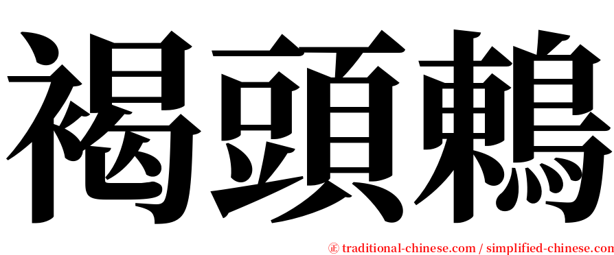 褐頭鶇 serif font