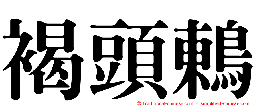 褐頭鶇