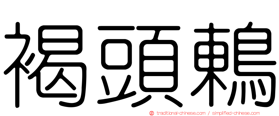 褐頭鶇