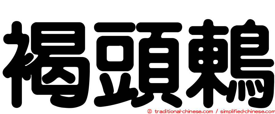 褐頭鶇