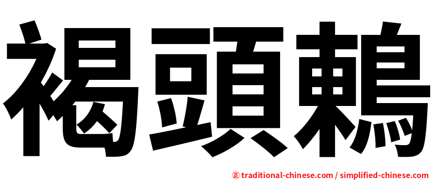 褐頭鶇