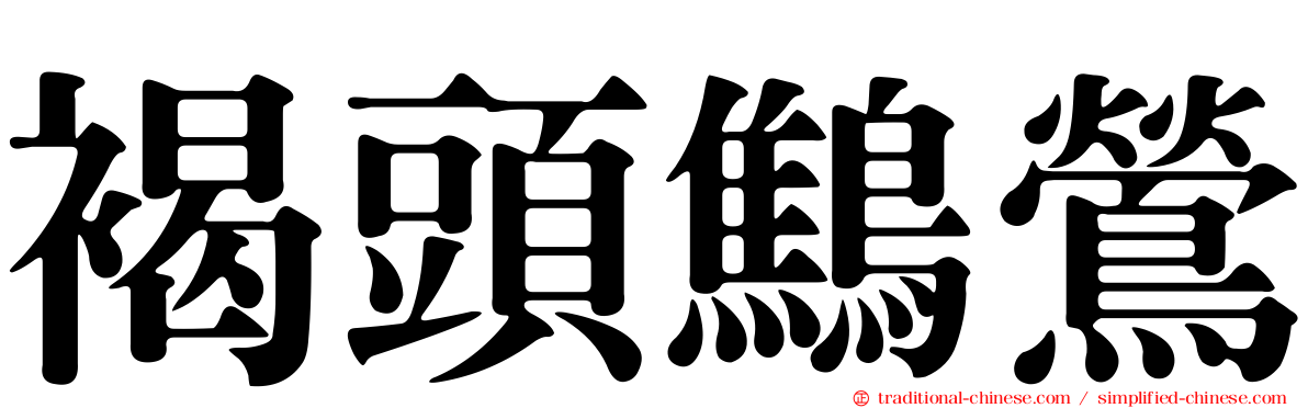 褐頭鷦鶯