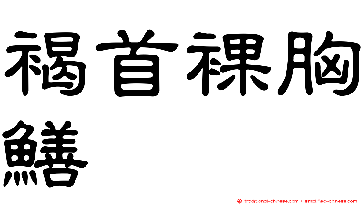 褐首裸胸鱔