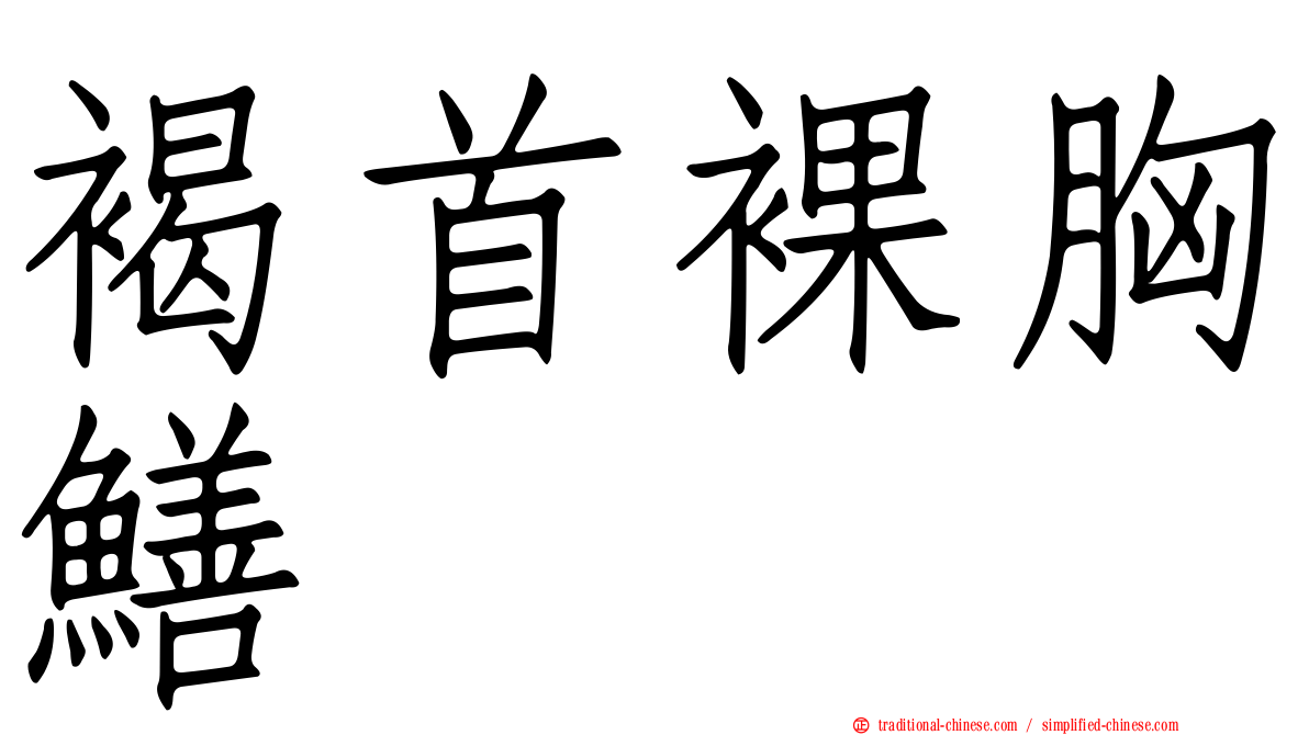 褐首裸胸鱔