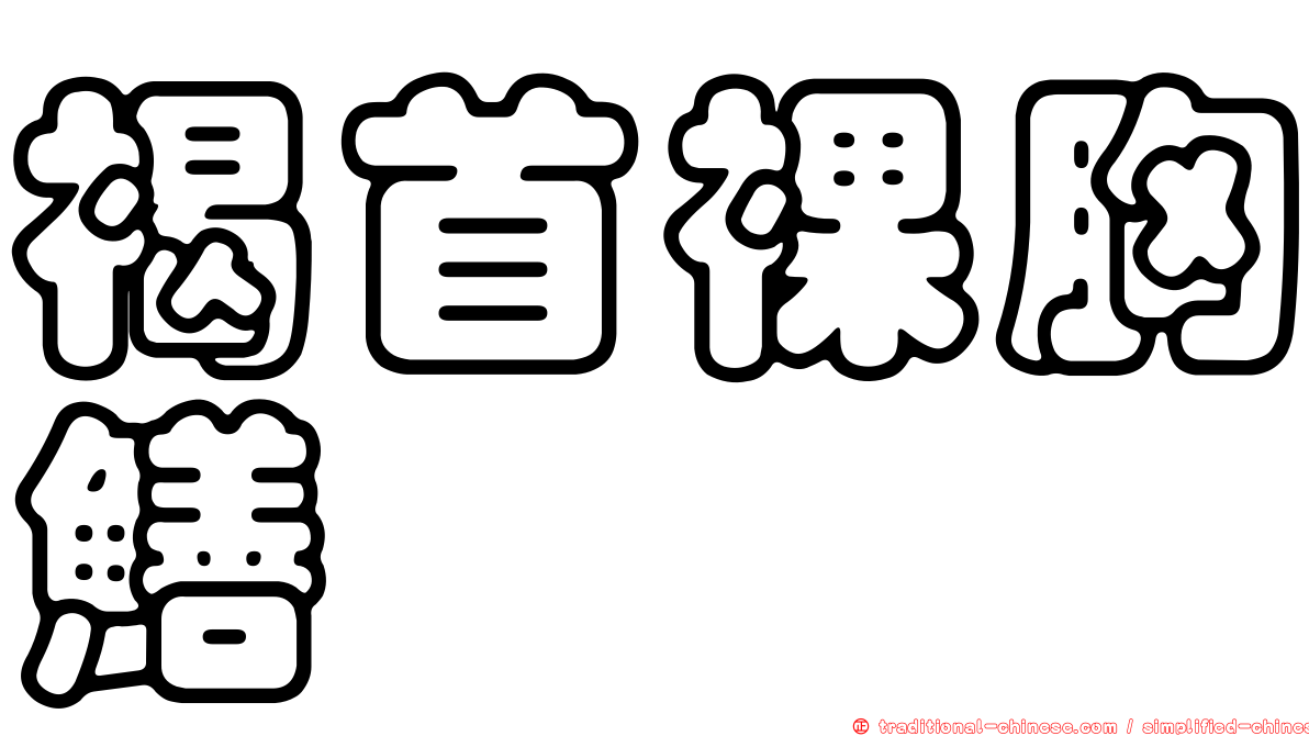 褐首裸胸鱔