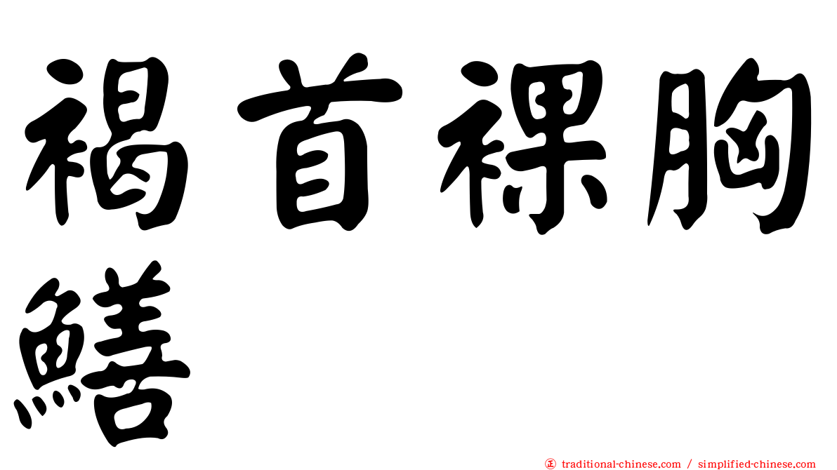 褐首裸胸鱔