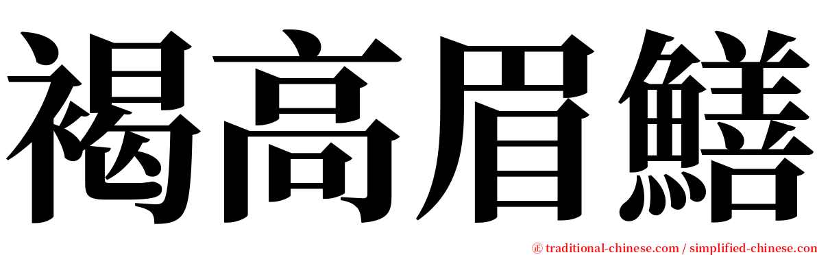 褐高眉鱔 serif font