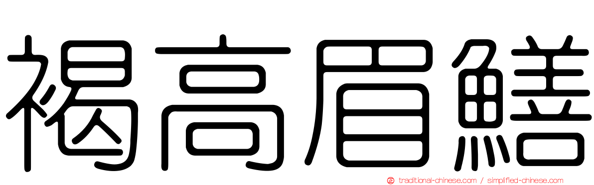 褐高眉鱔