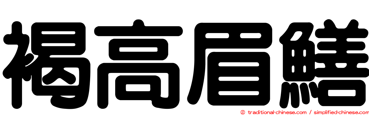 褐高眉鱔