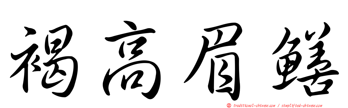 褐高眉鱔