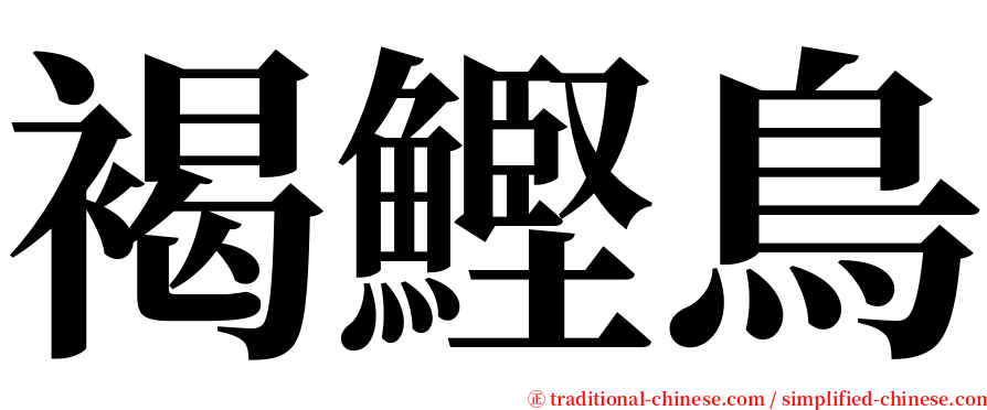 褐鰹鳥 serif font