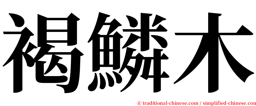 褐鱗木 serif font