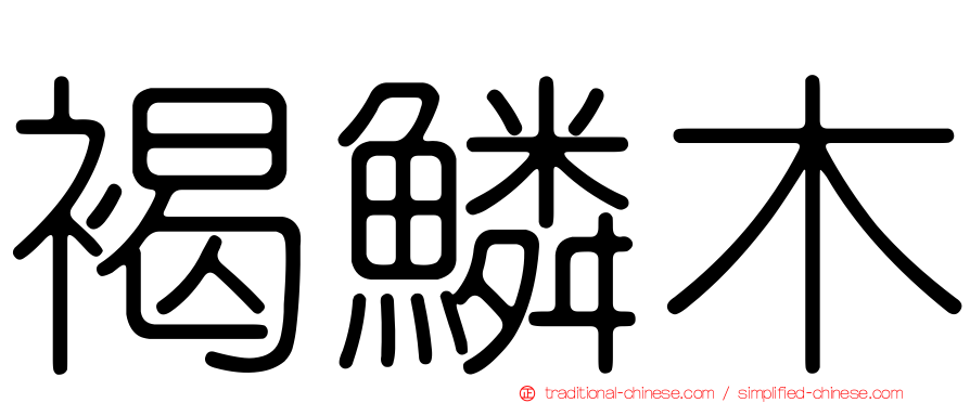 褐鱗木