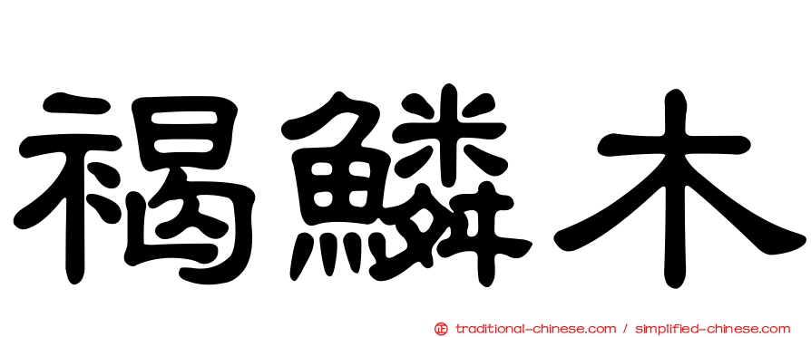 褐鱗木