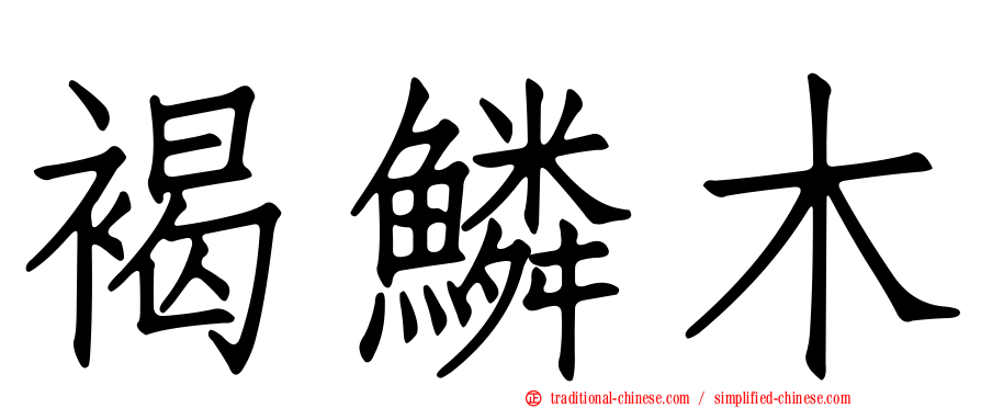 褐鱗木