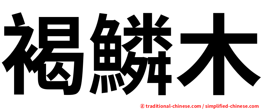 褐鱗木