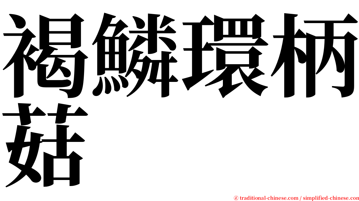 褐鱗環柄菇 serif font