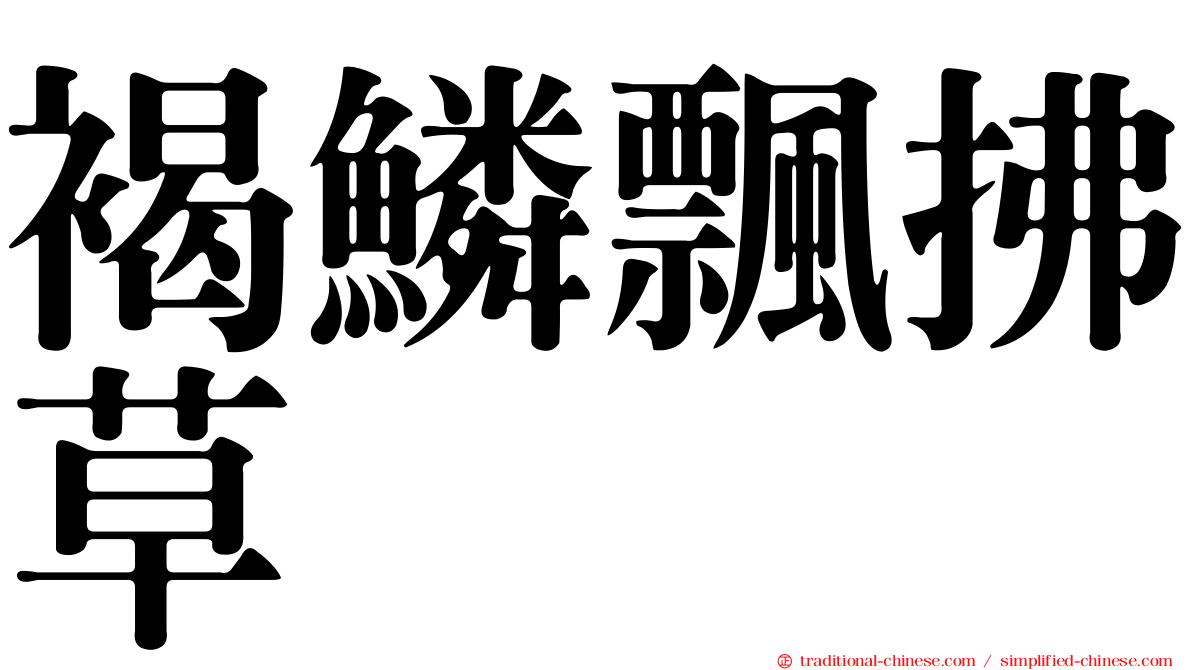 褐鱗飄拂草