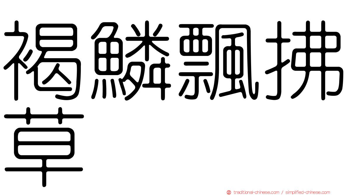 褐鱗飄拂草